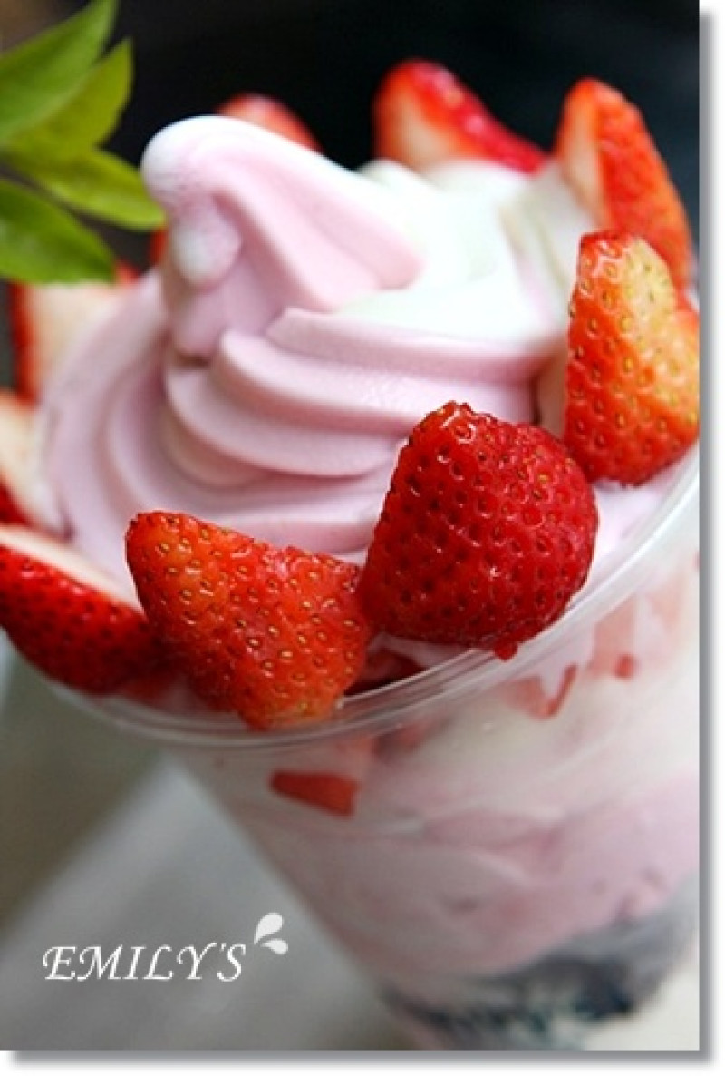 【2011.11.27【食記：高雄】Emily’s 艾蜜莉優格乳霜冰淇淋】