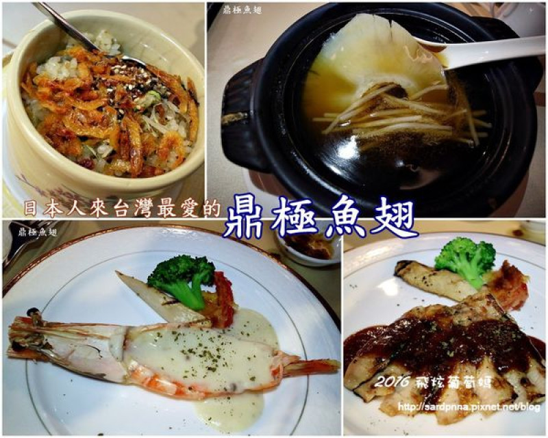 台北x捷運雙連x捷運中山||父親節吃大餐 日本人來台觀光必吃這一間 鼎極魚翅 用平實價格吃高級享受