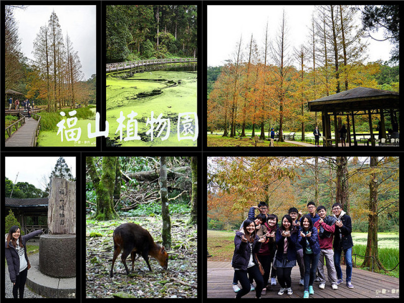 【宜蘭。遊記】哈囉小山羌。每日限額入園之野生動植物保護區 ─ 福山植物園