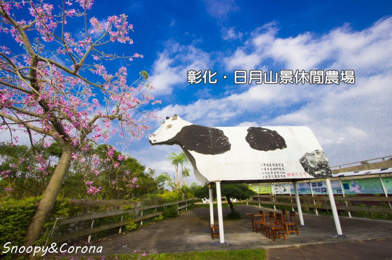 【玩樂．彰化】日月山景休閒農場～美人樹美人櫻美麗綻放，免門票適合親子同遊