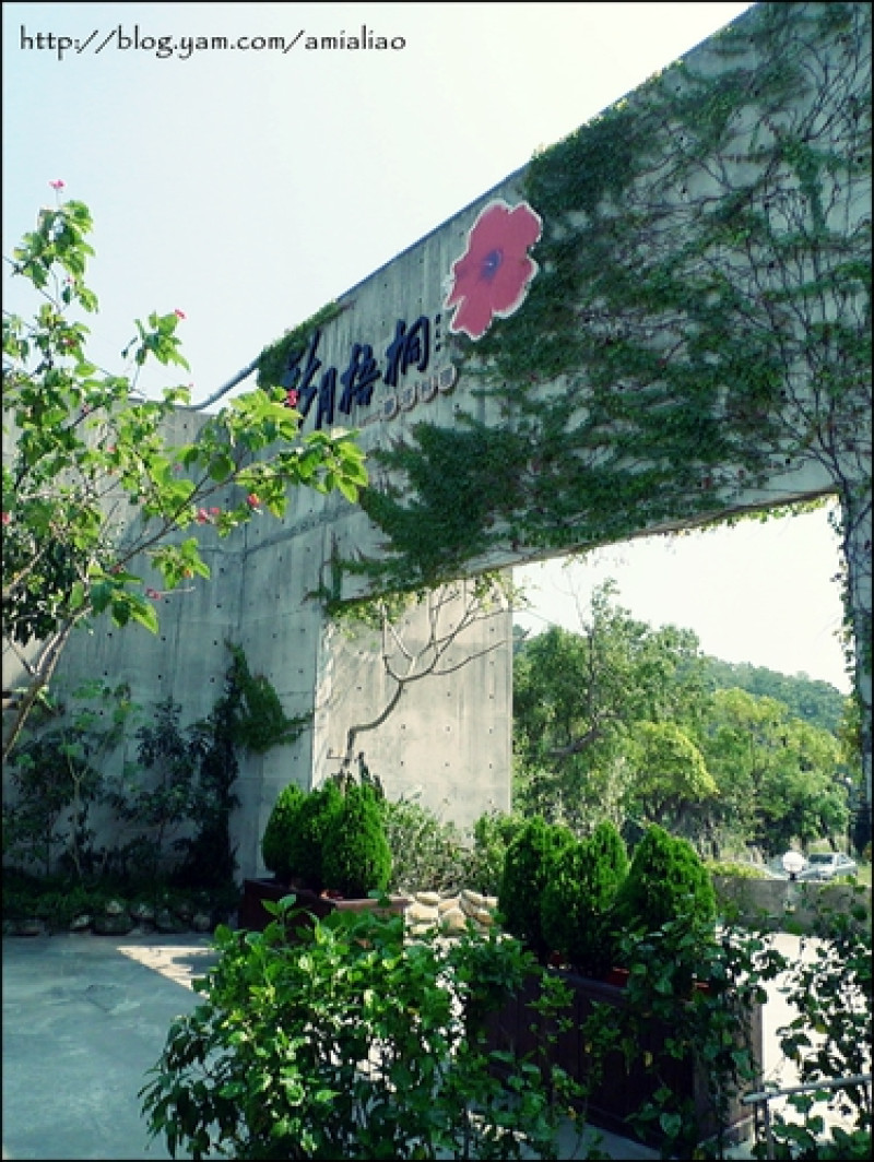 【苗栗好食】新月梧桐。