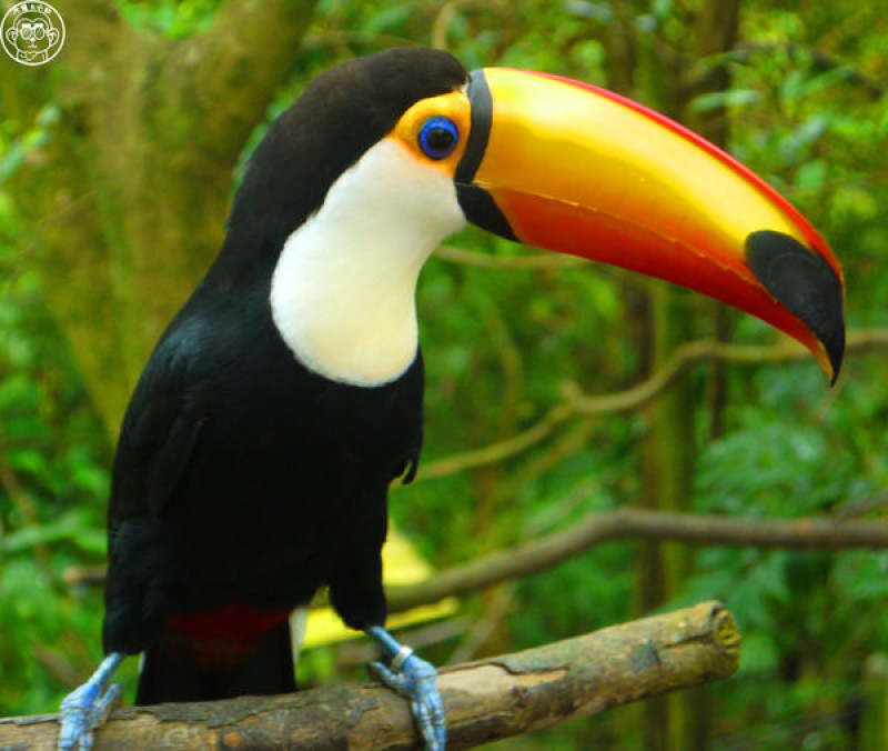 作伙來企投【新竹･綠世界生態農場】豐富動植物生態的奇幻之旅              