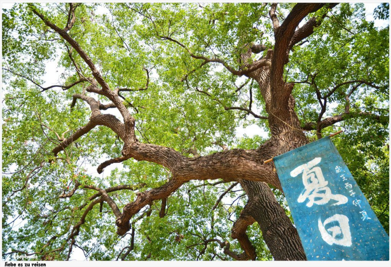 ｜高雄‧橋頭｜吃冰玩耍散步的好去處*橋頭糖廠