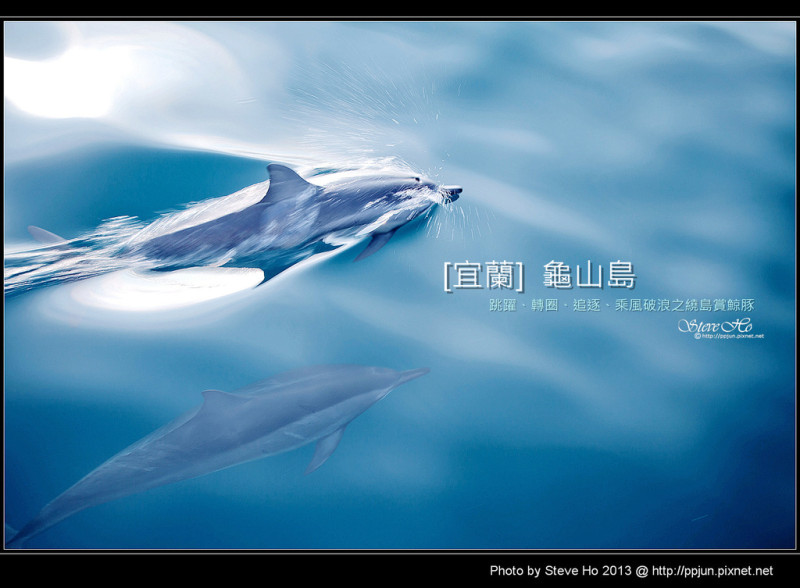 [宜蘭] 龜山島 - 旋轉、跳躍、乘風破浪之繞島賞鯨豚