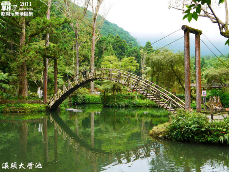 溪頭自然教育園區，空中走廊穿梭林木之中！                
      