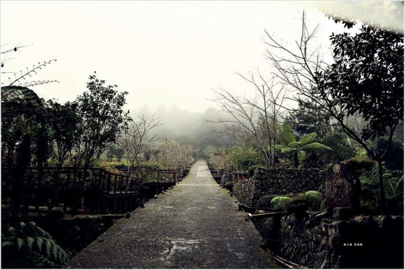 【南投‧鹿谷】溪頭自然教育園區/溪頭森林遊樂區‧遼闊的森林，走趟溪頭享受芬多精的洗澧