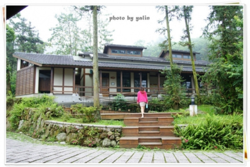 南投鹿谷夢幻學校「內湖國小」能在這裡讀書好幸福