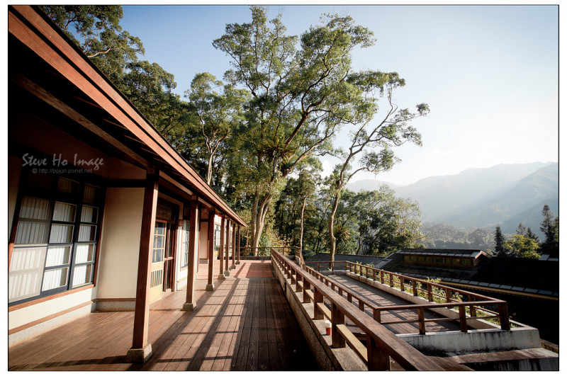 [南投] 內湖國小 -全台最美的森林小學