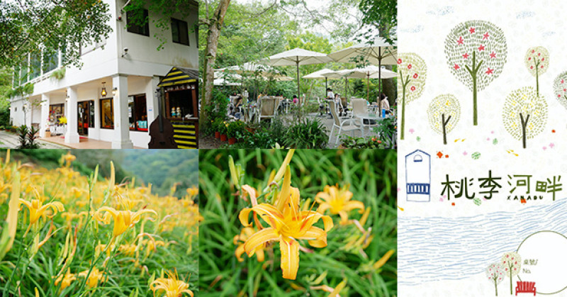 【台中景觀餐廳】桃李河畔(寵物友善景觀餐廳)，一年四季有著不同的花海景觀，徜徉在大自然懷抱中走在充滿綠意的步道，享受森呼吸的美好！。新社景觀餐廳 金針花海