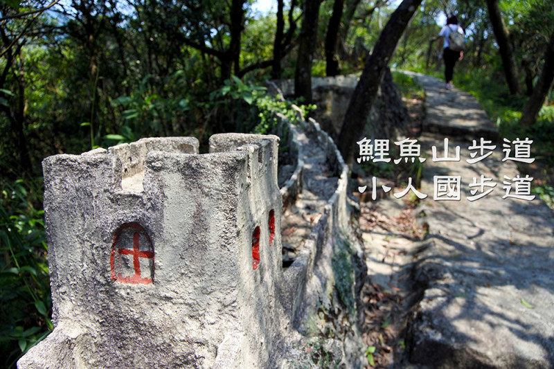 【台北市。內湖區】山野中的小人國歷險@鯉魚山親山步道