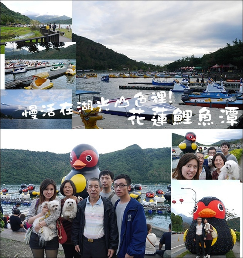 【花蓮景點】花蓮鯉魚潭[東台灣最大的內陸湖泊] 慢活在湖光山色裡。花蓮旅遊 帶著寵物去旅行