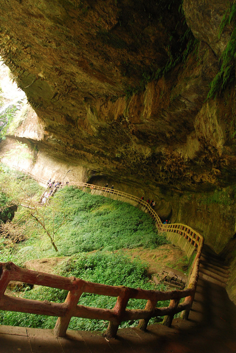 ◈南投◈ⓜ杉林溪ⓜ