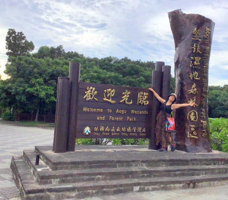 嘉義景點[鰲鼓濕地森林園區]中原大學校友合唱團聯誼˙交流˙怡情怡性