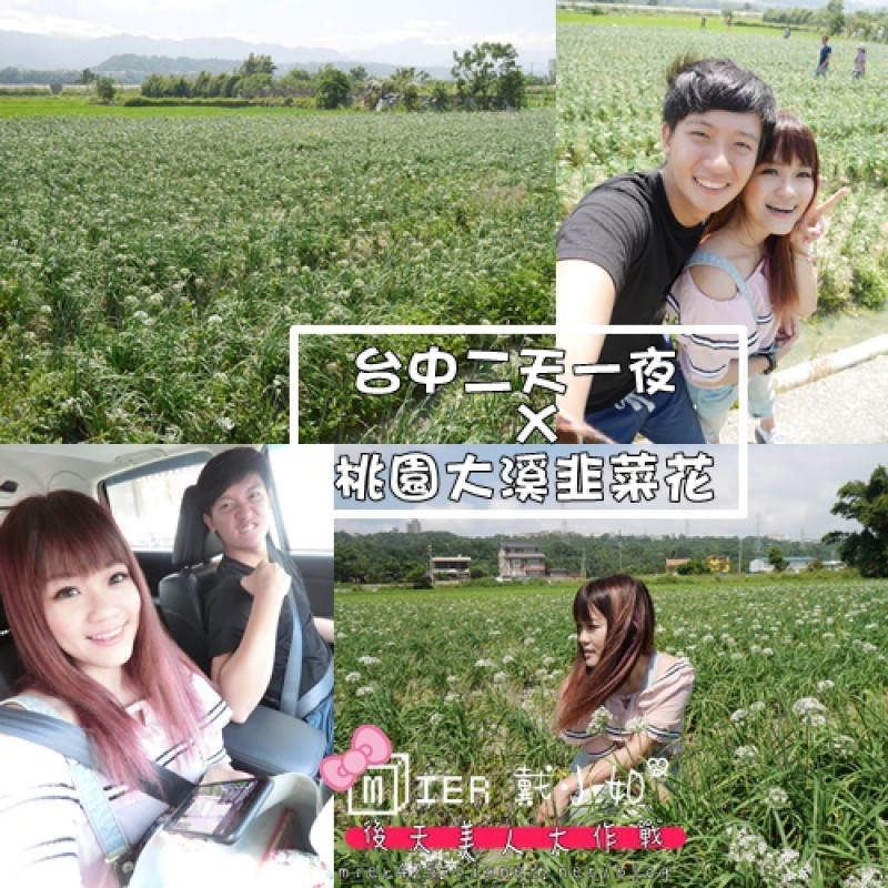 【桃園】台中二天一夜 退伍遊 第一站 桃園秘境 不能錯過的九月雪 桃園大溪韭菜花田