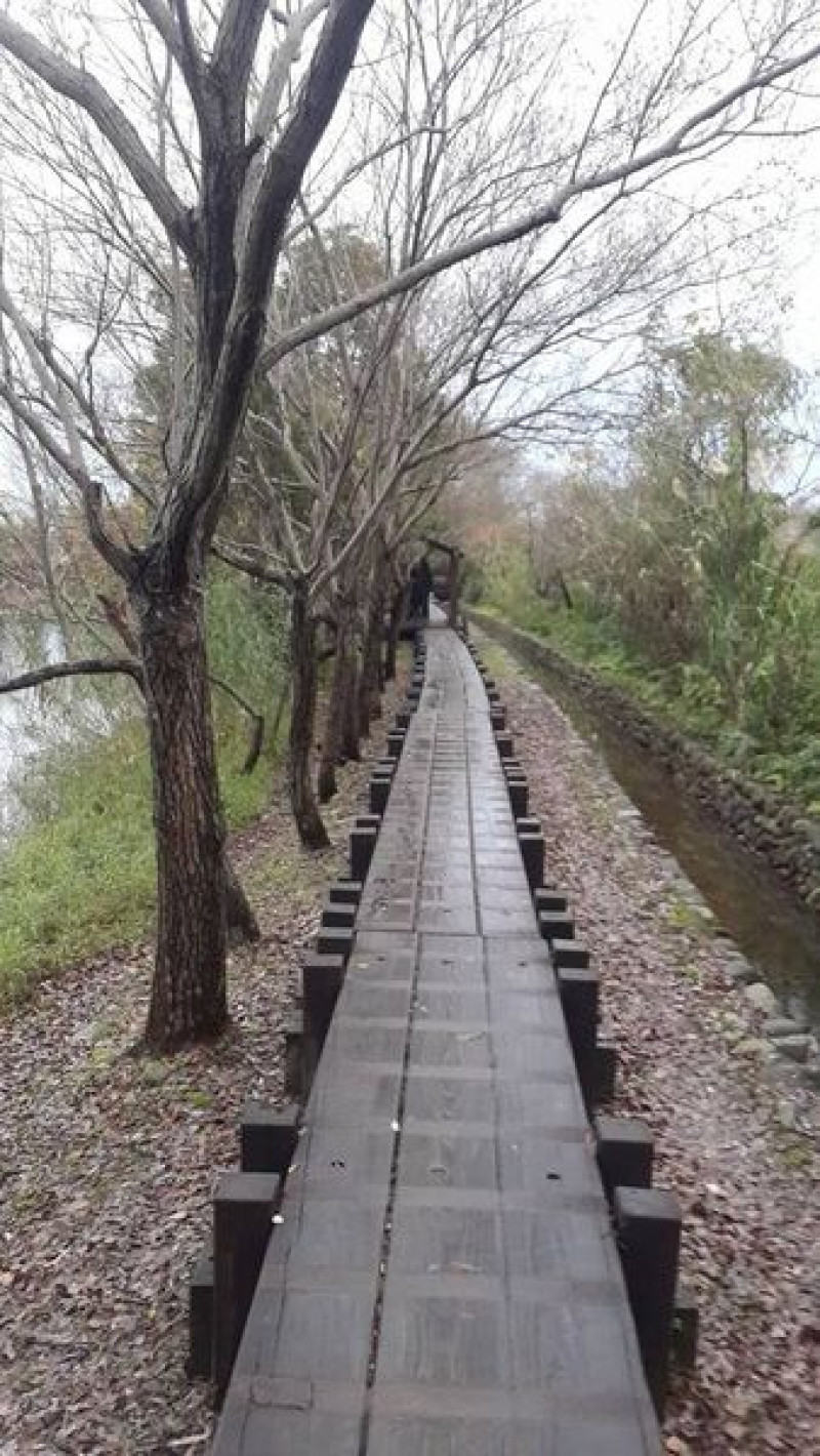 宜蘭羅東林業文化園區