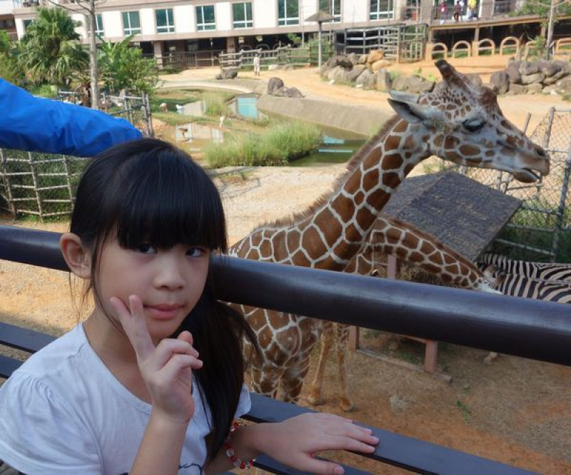 新竹旅遊 (六福村)六福莊生態渡假旅館~肯亞綠地房型