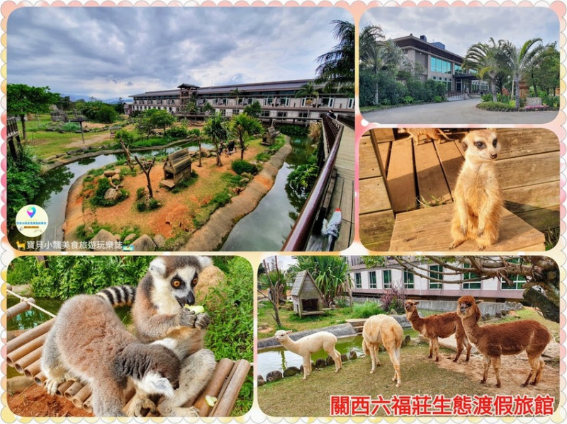 [住]新竹 跟動物親密互動體驗~可愛狐猴 狐蒙等動物等您到來 關西六福莊生態渡假村