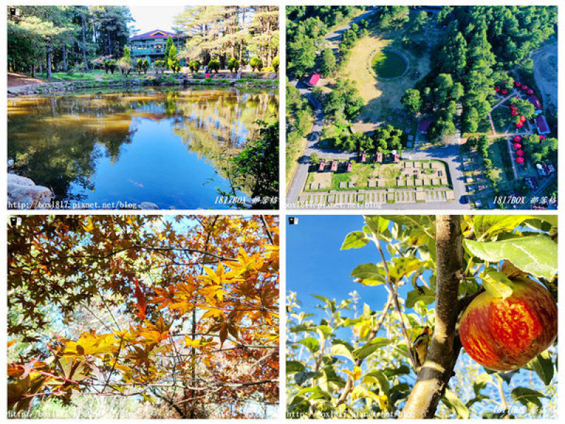 【台中。和平】秋遊福壽山農場。台灣最有靈氣的達觀亭天池。露營區蘋果屋。蘋果王。鴛鴦湖楓葉