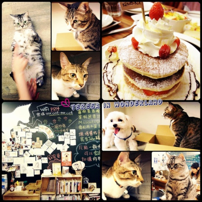 [食記] 忠孝復興站 貓咪先生的朋友 ♫喵喵陪你吃飯♪♪真是世界上最幸福的事阿~♥ (附完整菜單)