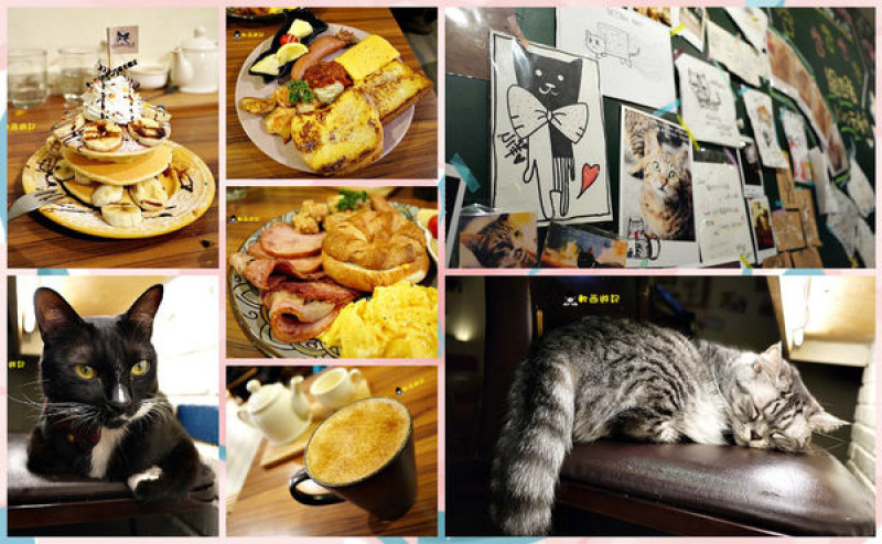 [口碑]台北忠孝復興站 貓咪先生的朋友 萌貓伴食 跟可愛療癒店貓一起吃豐盛早午餐吧 *WIFI 菜單* 套餐/單點 忠孝復興餐廳/忠孝復興美食/貓咪餐廳