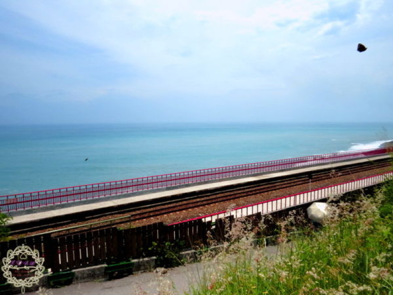 【台東 太麻里】多良火車站　全台最美的火車站！