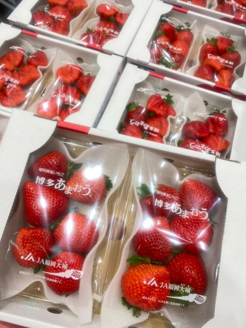 好市多Costco進口水果大推薦👍