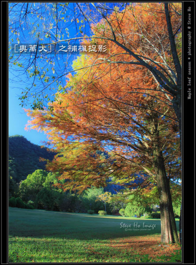 [南投] 奧萬大之補楓捉影