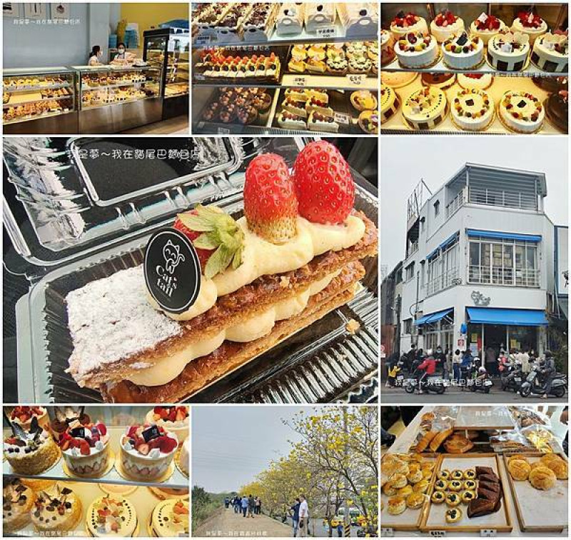 『嘉義。貓尾巴麵包店』～台林橋黃花風鈴木／平價麵包蛋糕／超人氣大泡芙