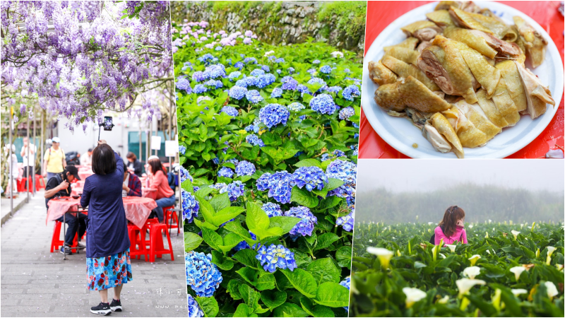 【陽明山土雞推薦】7間陽明山土雞名單分享，竹子湖餐廳推薦！