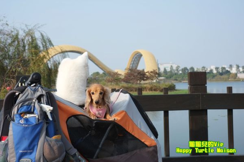 ∥龜龜Bilingual∥台南 新市 ~迎曦湖公園~ 黃絲帶 裝置藝術 有寵物奔跑的大草原 不人擠人的景點