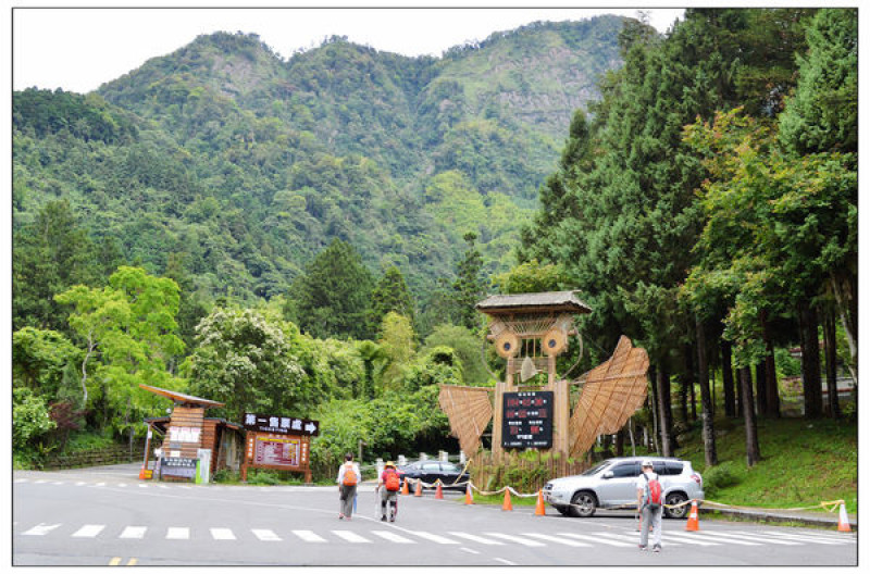 溪頭森林遊樂區