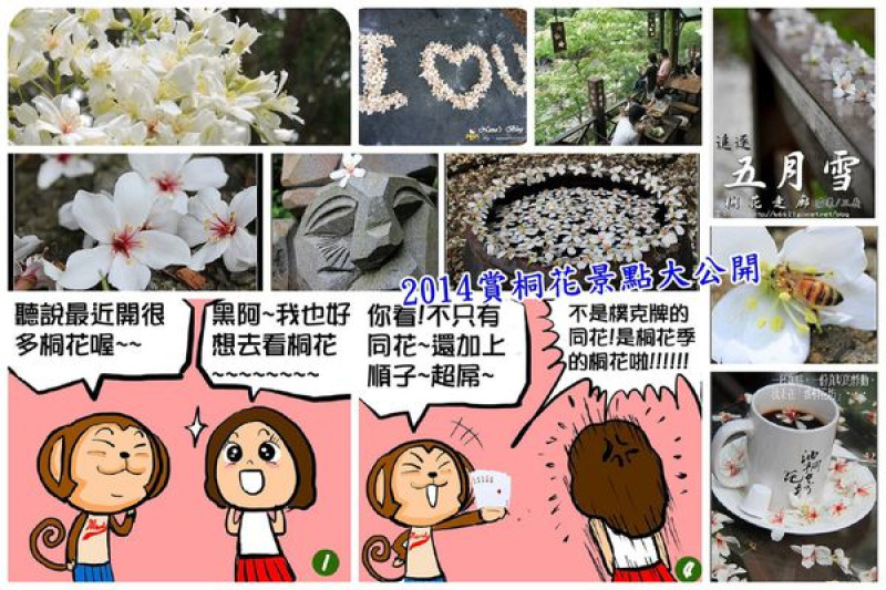 2014年5月雪全台賞桐花景點與地區不私心大公開