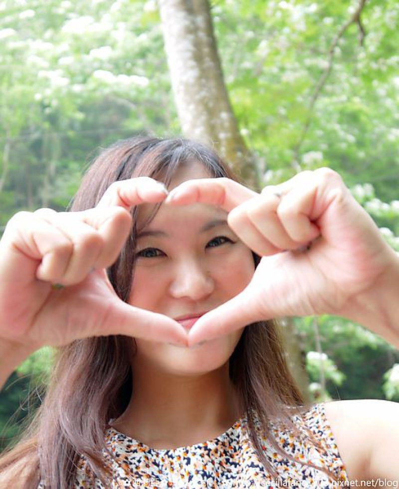 【彰化。彰化市】終於一窺雪白桐花毯的神奇風貌~再訪挑水古道(花況4/26)