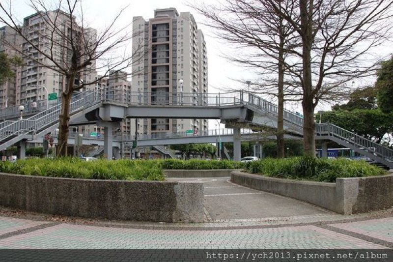 林口賞櫻／林口運動公園與觀音寺