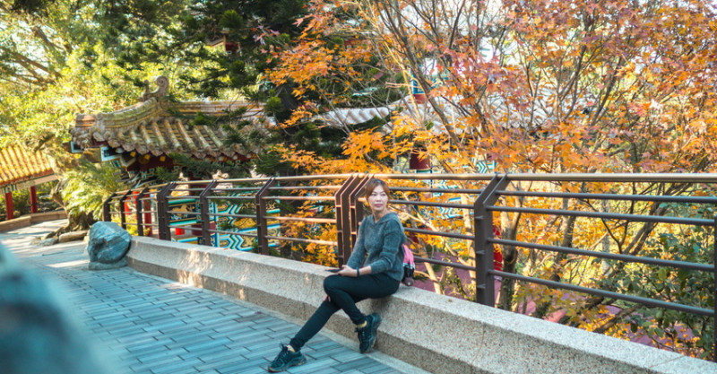 貓纜 指南宮千階親山步道