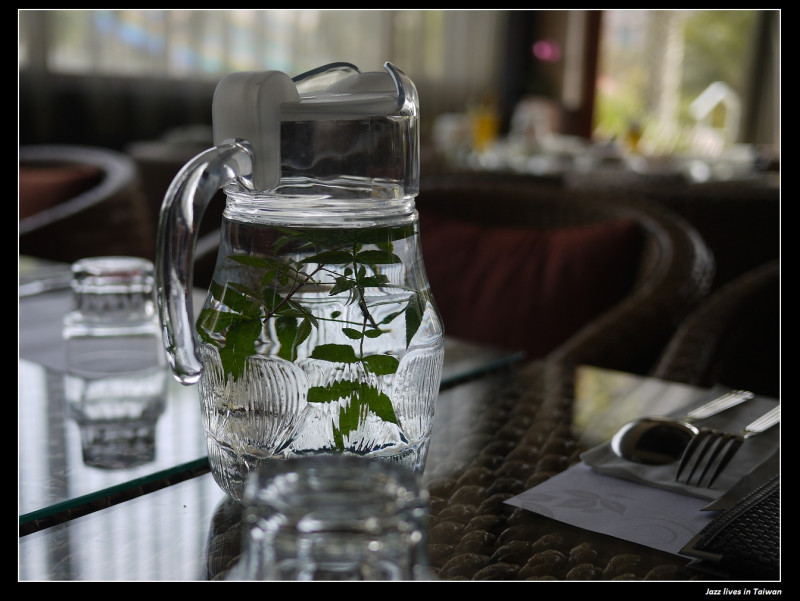 [甜客廳樂園]適合讓小孩子與兔子同樂的餐廳