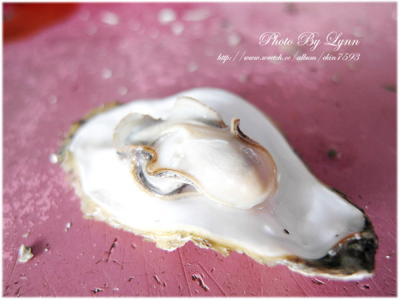 男人＆女人的補品【澎湖．海上皇宮．海洋牧場】牡蠣吃到爽！