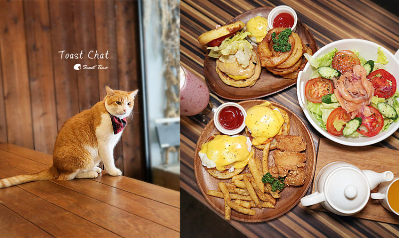 【台北大安區美食】Toast Chat - 貓咪餐廳 / 早午餐 / 貓奴、貓控必訪 / 不限時咖啡廳 / 捷運國父紀念館站