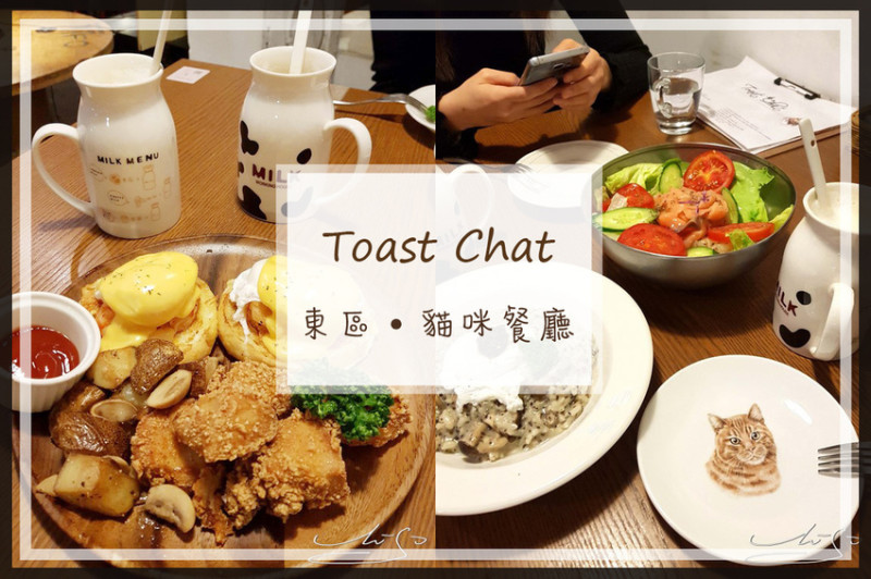 【大安  國父紀念館】Toast Chat ➤ 台北不限時咖啡廳／東區貓咪餐廳～貓奴們與貓咪一起用餐吧！豐富早午餐等你來品嚐！