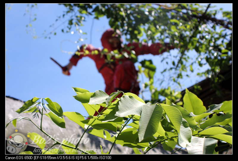 台南.佳里-驛棧香草農場-龍貓與忍者穿梭的倒轉時光場景