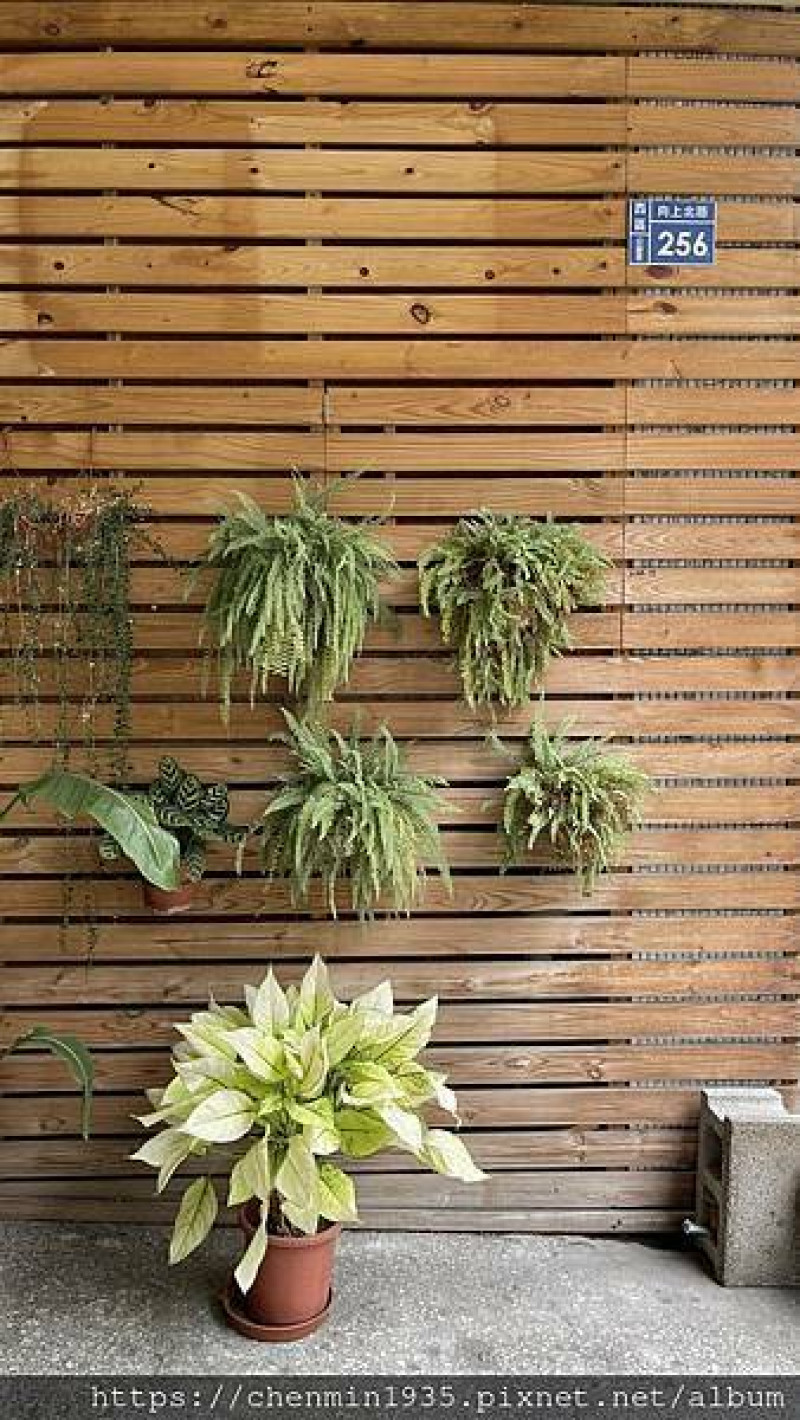 台中市西區-豐好鳳梨冰