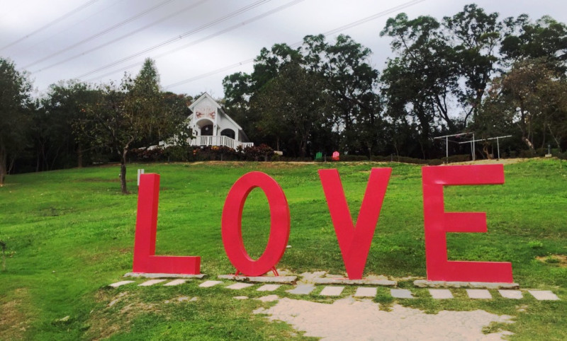【新竹苗栗】跟團遊柿餅園、心鮮森林、拔芋頭~沒車也可以趴趴走