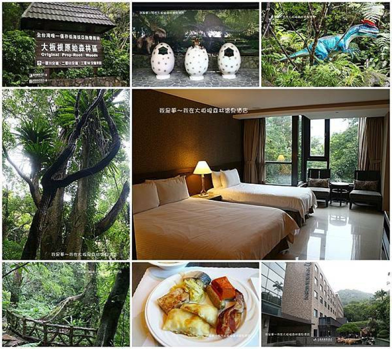 『新北。大板根森林溫泉酒店』～呼吸芬多精／侏儸紀恐龍