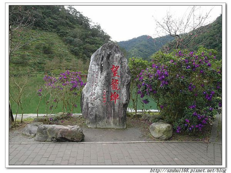 ☆宜蘭☆望龍埤