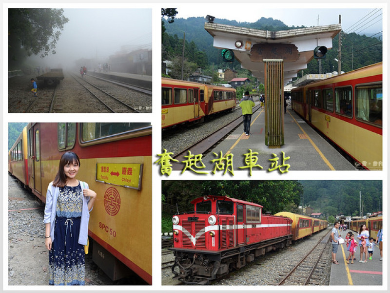 【嘉義。遊記】阿里山森鐵漫遊。全線最大停靠站 ─ 奮起湖車站