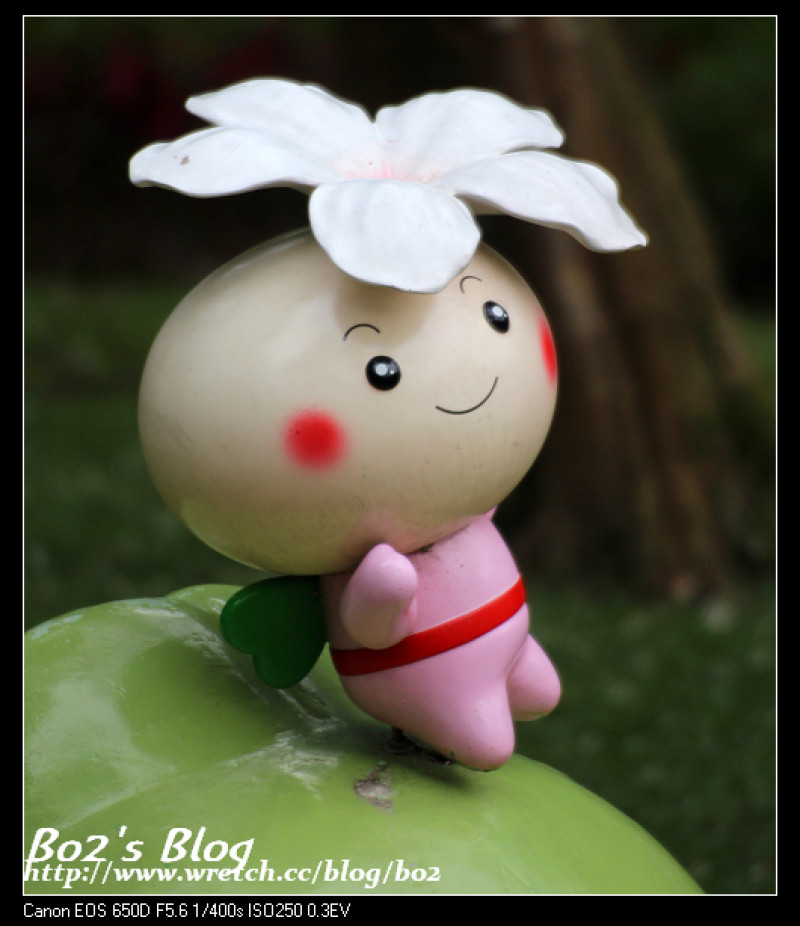 
苗栗.銅鑼-客家大院(雨後的四月花毯)(20130421花況)
