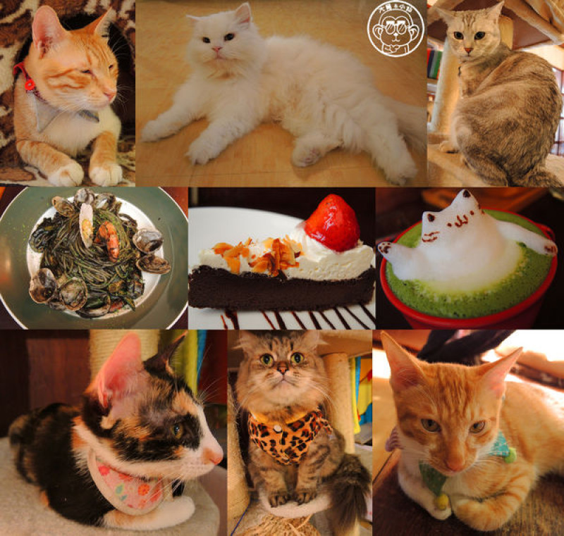 呷飽祙【台北內湖･Miao米亞歐 隨義小廚】巷弄裡的寵物當家義式料理        
      