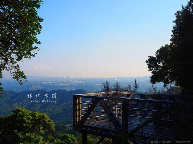 新北五股觀音山 輕鬆漫步林梢步道