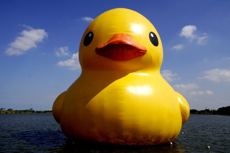 荷蘭霍夫曼的黃色小鴨、日本草間彌生的生命足跡、韓國崔正化的會呼吸的蓮花