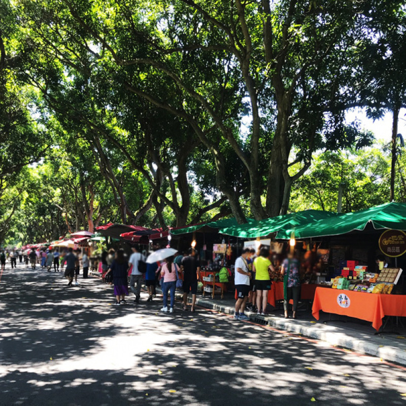 [玩在雲林]古坑綠色隧道 周末午後放電的好地方